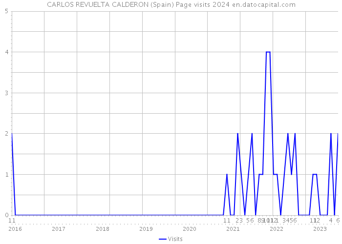CARLOS REVUELTA CALDERON (Spain) Page visits 2024 