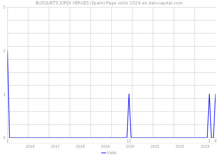 BUSQUETS JORDI VERGES (Spain) Page visits 2024 