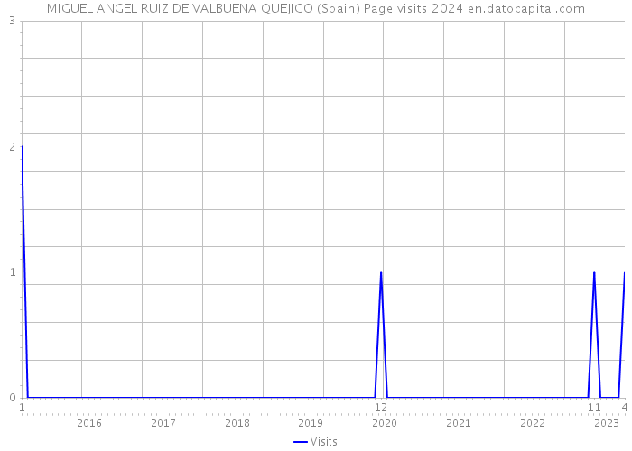 MIGUEL ANGEL RUIZ DE VALBUENA QUEJIGO (Spain) Page visits 2024 