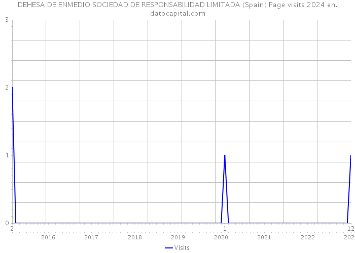 DEHESA DE ENMEDIO SOCIEDAD DE RESPONSABILIDAD LIMITADA (Spain) Page visits 2024 