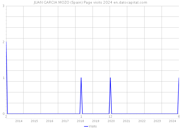 JUAN GARCIA MOZO (Spain) Page visits 2024 