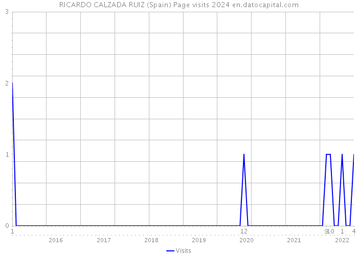 RICARDO CALZADA RUIZ (Spain) Page visits 2024 