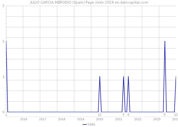JULIO GARCIA MERODIO (Spain) Page visits 2024 