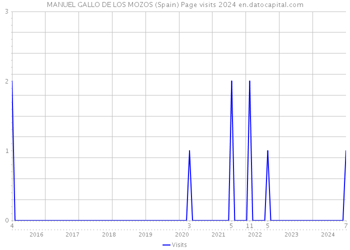 MANUEL GALLO DE LOS MOZOS (Spain) Page visits 2024 