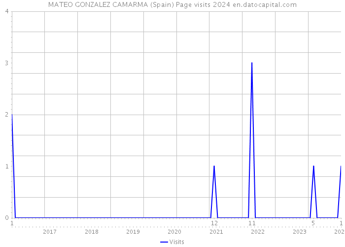 MATEO GONZALEZ CAMARMA (Spain) Page visits 2024 