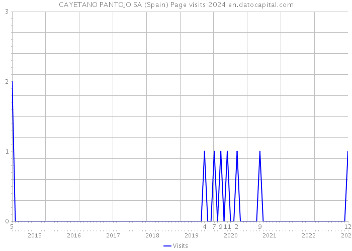 CAYETANO PANTOJO SA (Spain) Page visits 2024 