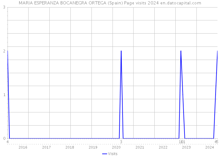MARIA ESPERANZA BOCANEGRA ORTEGA (Spain) Page visits 2024 