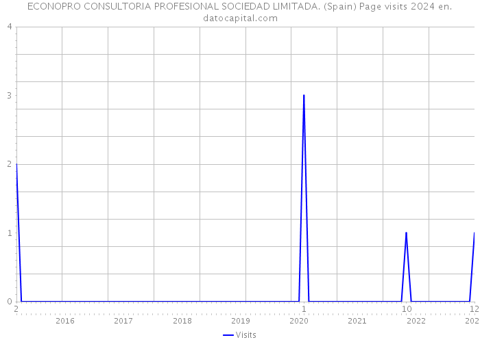 ECONOPRO CONSULTORIA PROFESIONAL SOCIEDAD LIMITADA. (Spain) Page visits 2024 