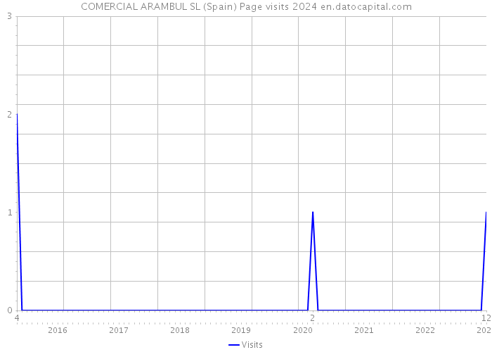 COMERCIAL ARAMBUL SL (Spain) Page visits 2024 