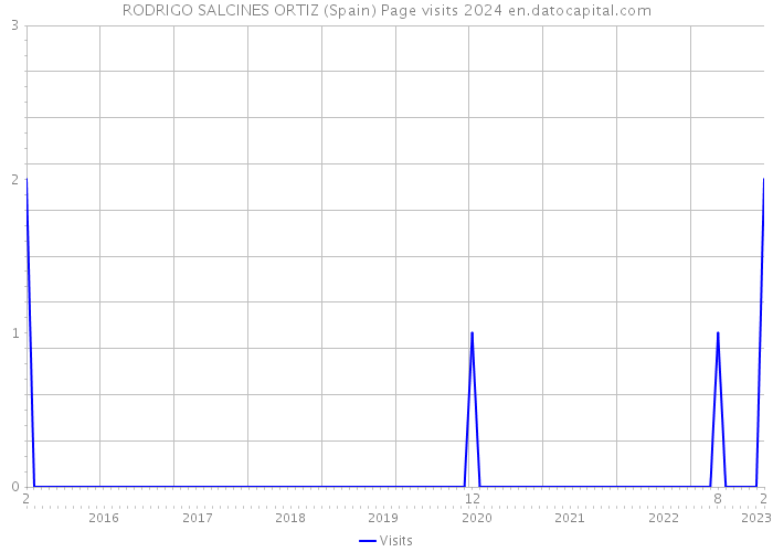 RODRIGO SALCINES ORTIZ (Spain) Page visits 2024 