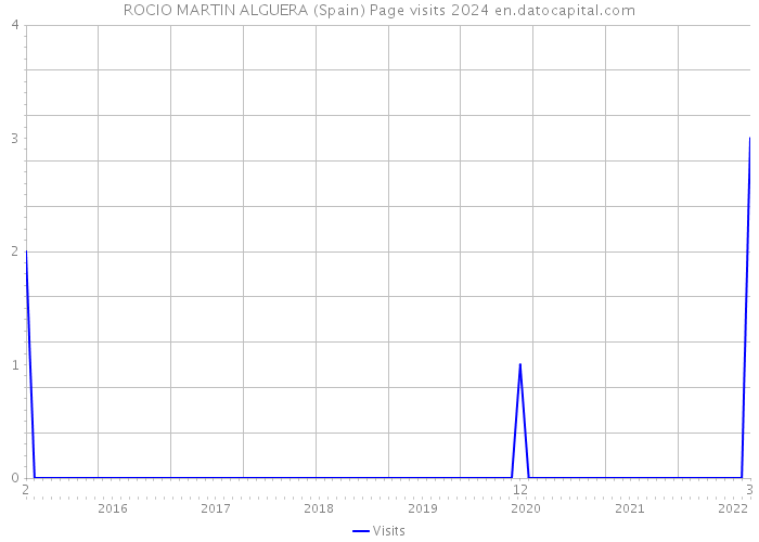 ROCIO MARTIN ALGUERA (Spain) Page visits 2024 