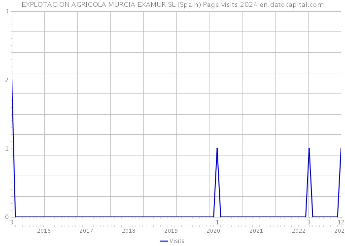 EXPLOTACION AGRICOLA MURCIA EXAMUR SL (Spain) Page visits 2024 