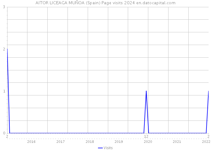 AITOR LICEAGA MUÑOA (Spain) Page visits 2024 