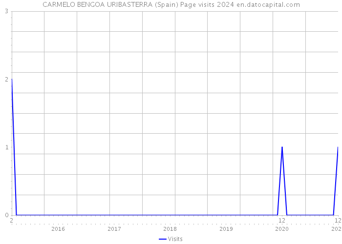 CARMELO BENGOA URIBASTERRA (Spain) Page visits 2024 