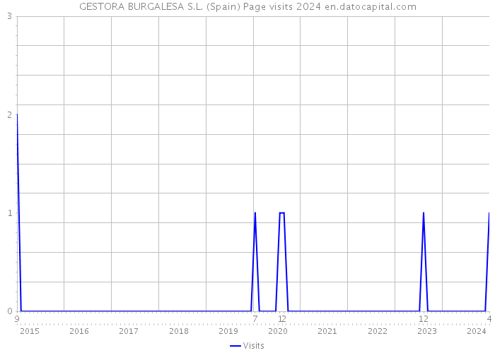 GESTORA BURGALESA S.L. (Spain) Page visits 2024 