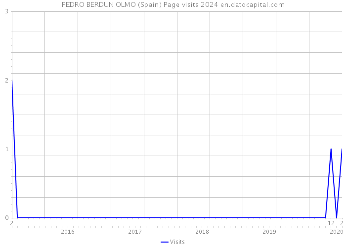 PEDRO BERDUN OLMO (Spain) Page visits 2024 