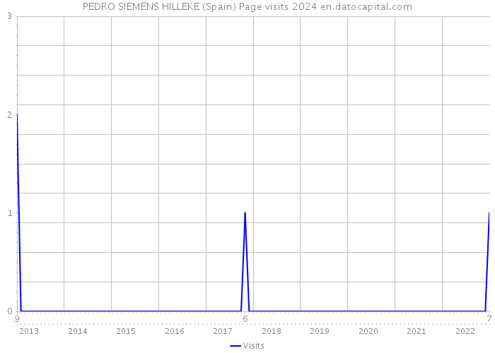 PEDRO SIEMENS HILLEKE (Spain) Page visits 2024 