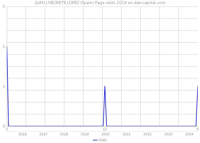 JUAN J NEGRETE LOPEZ (Spain) Page visits 2024 