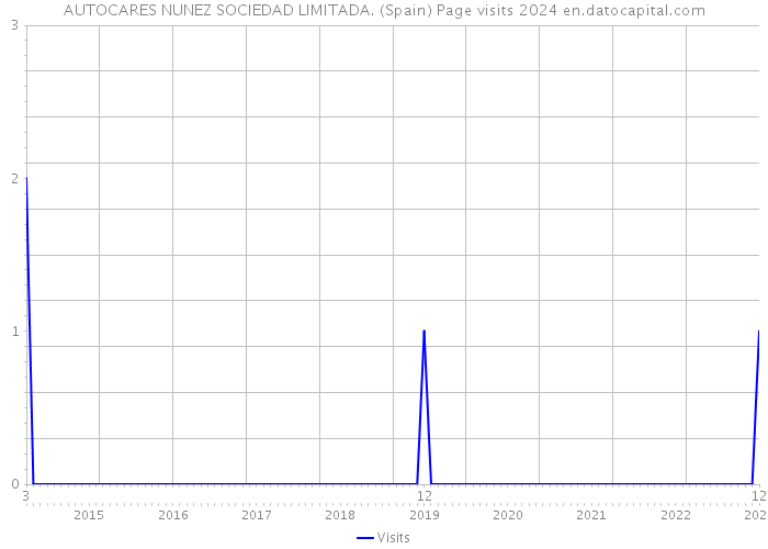 AUTOCARES NUNEZ SOCIEDAD LIMITADA. (Spain) Page visits 2024 