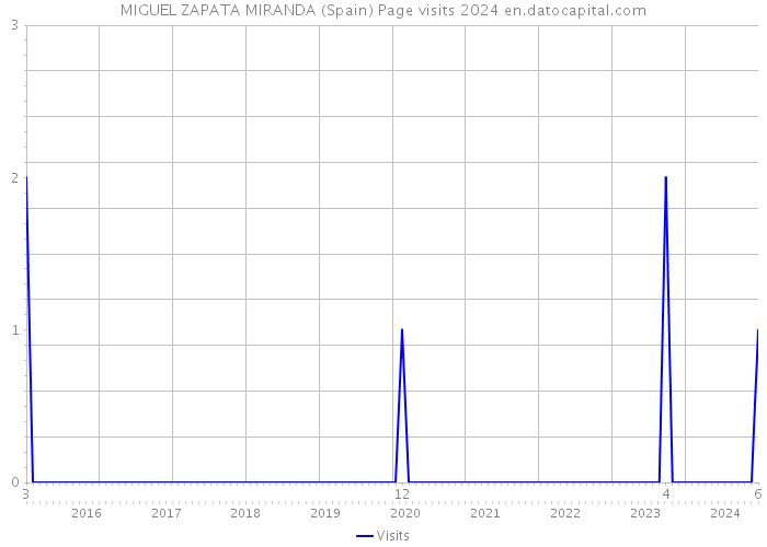 MIGUEL ZAPATA MIRANDA (Spain) Page visits 2024 