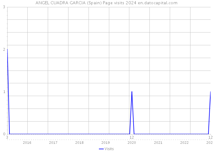 ANGEL CUADRA GARCIA (Spain) Page visits 2024 
