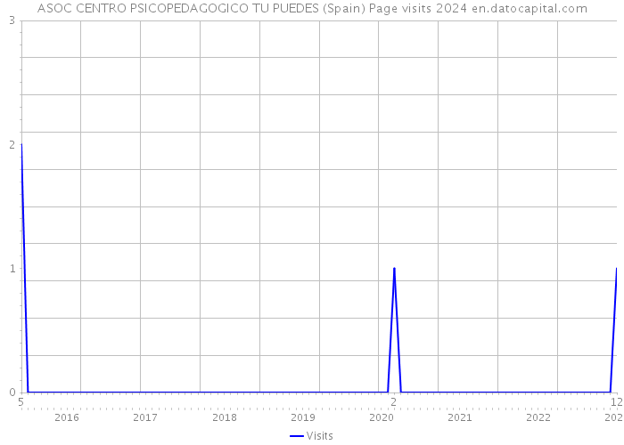 ASOC CENTRO PSICOPEDAGOGICO TU PUEDES (Spain) Page visits 2024 