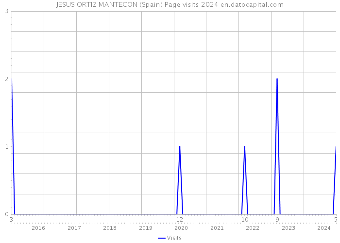 JESUS ORTIZ MANTECON (Spain) Page visits 2024 