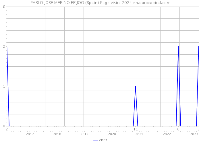 PABLO JOSE MERINO FEIJOO (Spain) Page visits 2024 