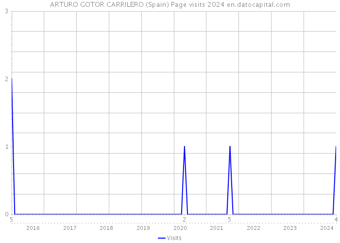 ARTURO GOTOR CARRILERO (Spain) Page visits 2024 