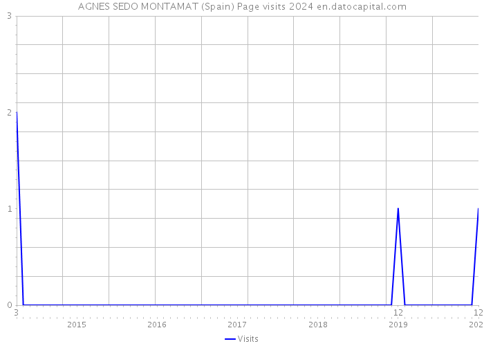 AGNES SEDO MONTAMAT (Spain) Page visits 2024 