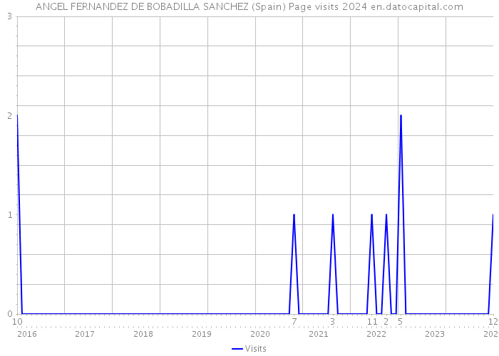 ANGEL FERNANDEZ DE BOBADILLA SANCHEZ (Spain) Page visits 2024 