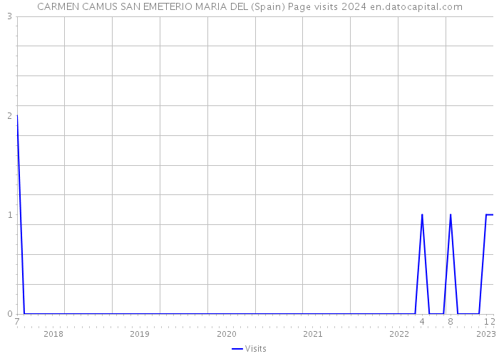CARMEN CAMUS SAN EMETERIO MARIA DEL (Spain) Page visits 2024 