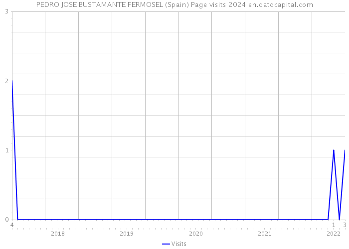 PEDRO JOSE BUSTAMANTE FERMOSEL (Spain) Page visits 2024 