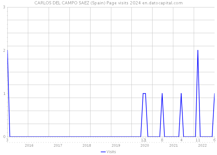 CARLOS DEL CAMPO SAEZ (Spain) Page visits 2024 