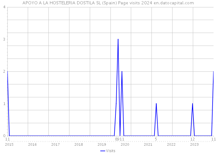 APOYO A LA HOSTELERIA DOSTILA SL (Spain) Page visits 2024 