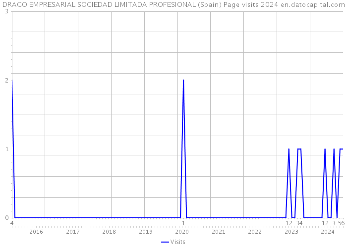 DRAGO EMPRESARIAL SOCIEDAD LIMITADA PROFESIONAL (Spain) Page visits 2024 