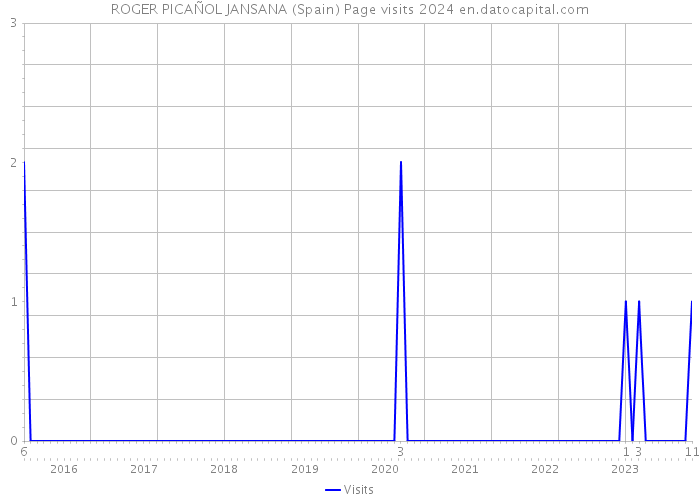 ROGER PICAÑOL JANSANA (Spain) Page visits 2024 