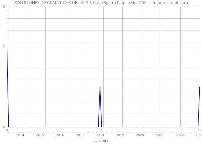 SOLUCIONES INFORMATICAS DEL SUR S.C.A. (Spain) Page visits 2024 