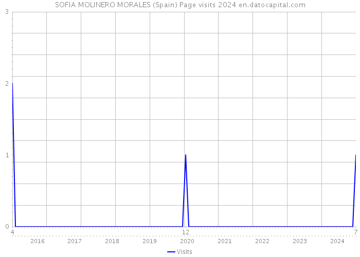 SOFIA MOLINERO MORALES (Spain) Page visits 2024 