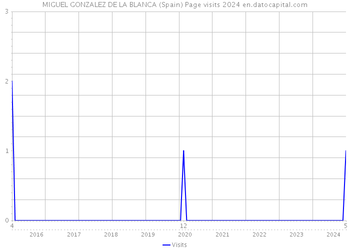 MIGUEL GONZALEZ DE LA BLANCA (Spain) Page visits 2024 