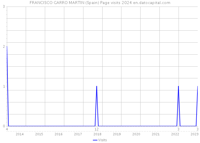 FRANCISCO GARRO MARTIN (Spain) Page visits 2024 