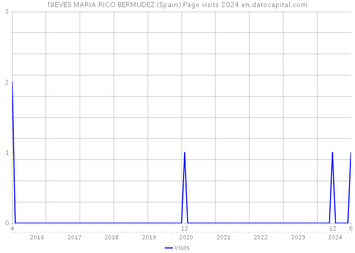 NIEVES MARIA RICO BERMUDEZ (Spain) Page visits 2024 