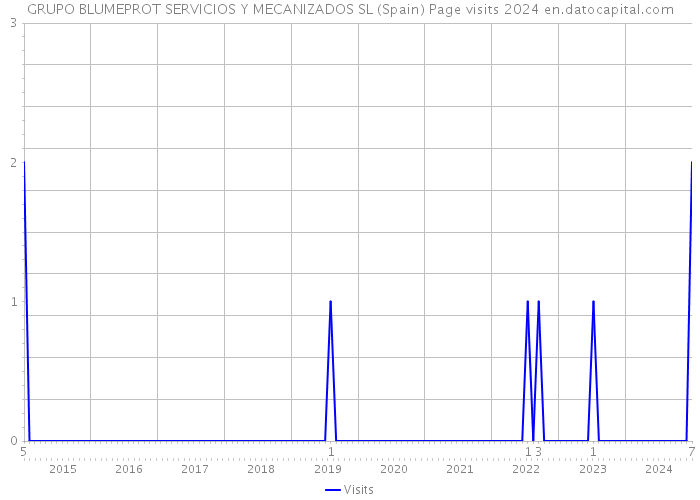 GRUPO BLUMEPROT SERVICIOS Y MECANIZADOS SL (Spain) Page visits 2024 