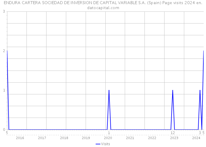 ENDURA CARTERA SOCIEDAD DE INVERSION DE CAPITAL VARIABLE S.A. (Spain) Page visits 2024 
