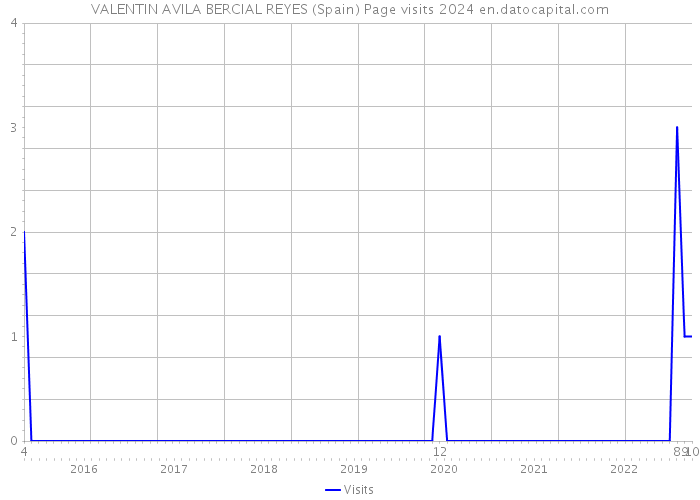 VALENTIN AVILA BERCIAL REYES (Spain) Page visits 2024 