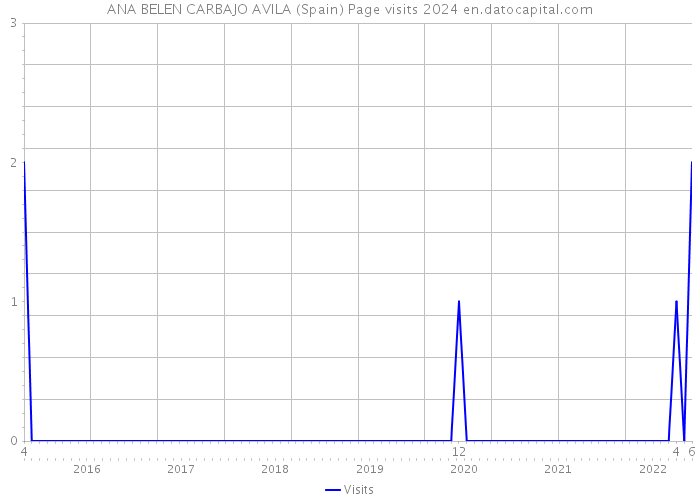 ANA BELEN CARBAJO AVILA (Spain) Page visits 2024 
