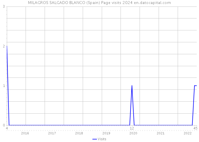 MILAGROS SALGADO BLANCO (Spain) Page visits 2024 