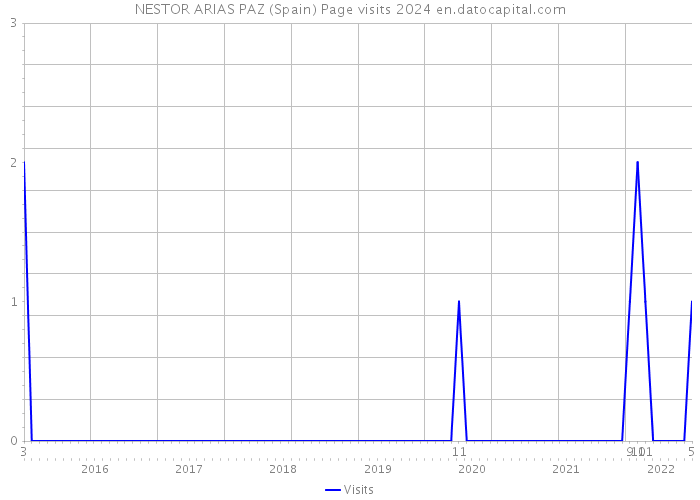 NESTOR ARIAS PAZ (Spain) Page visits 2024 