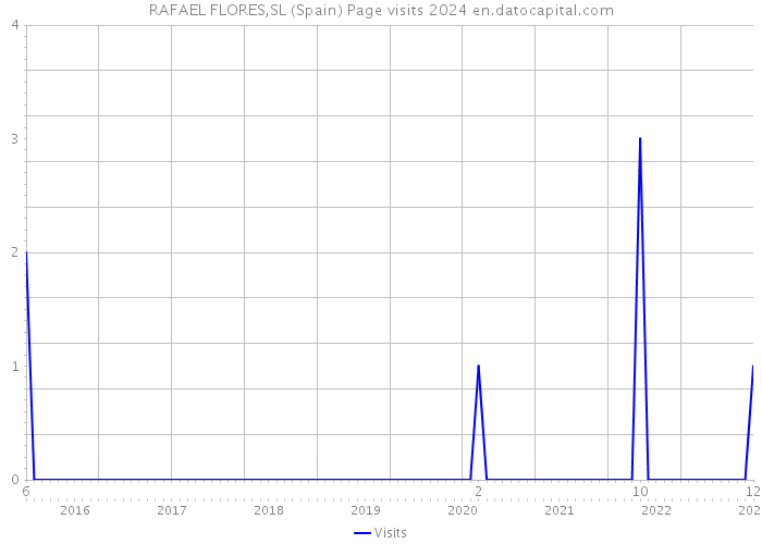 RAFAEL FLORES,SL (Spain) Page visits 2024 