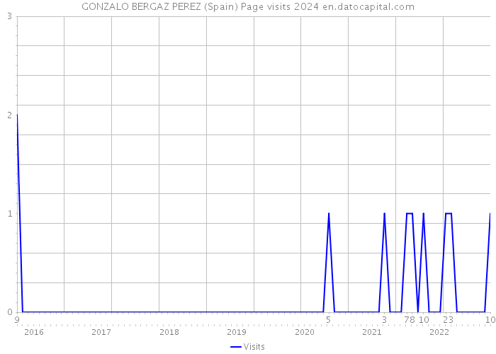 GONZALO BERGAZ PEREZ (Spain) Page visits 2024 